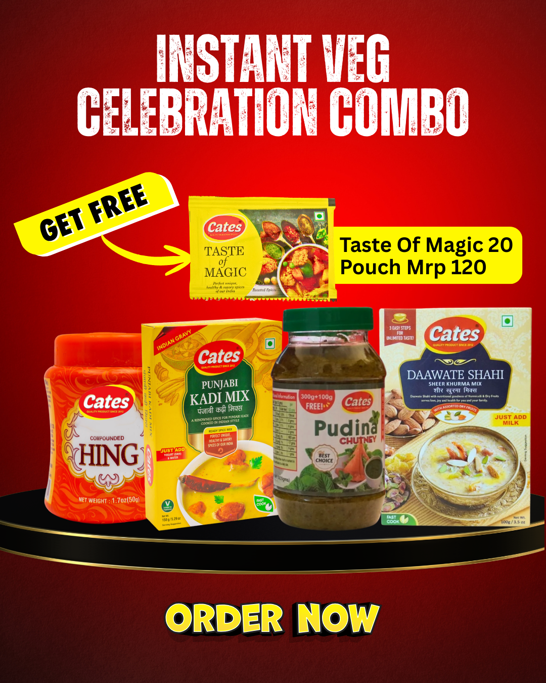 Intsant Veg Celebration Combo