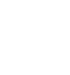 Partner Icon